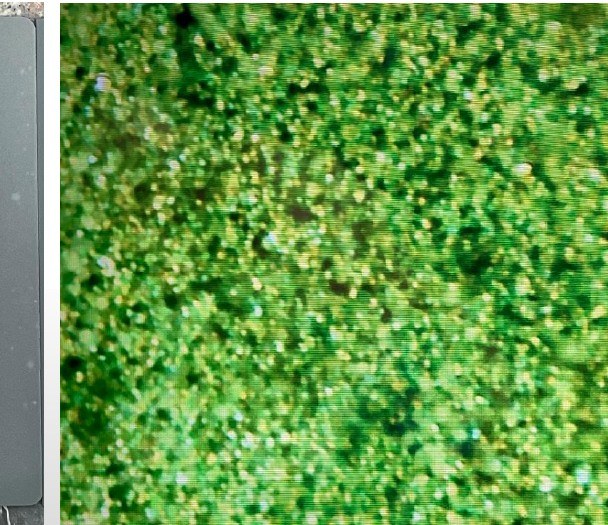 400℃ 处理后 1600 倍电镜锌粉形貌